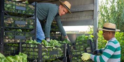 Produce from farm to table Produce from farm to table